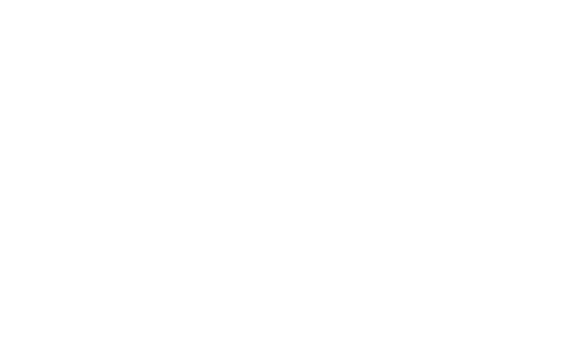 LOGO FACY 1.5 x BLANC